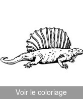 coloriage dimetrodon