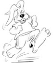 lapin grands pieds