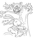 hibou arbre lapin dort