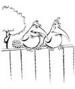 oiseaux posés sur balustrade