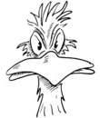 tête d'oiseau en colère