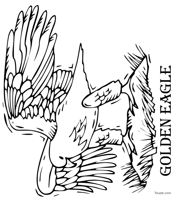 coloriage-aigle Page 4