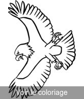 Coloriage Aigle en Vol élégant| Toupty.com