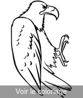 Coloriage Aigle Majestueux Imposant | Toupty.com