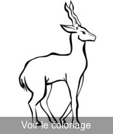 clip art antilope noir & blanc a imprimer