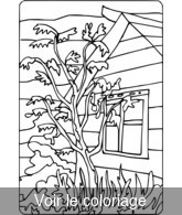 Coloriage Jardin Richesse Automne | Toupty.com