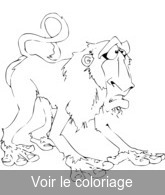 Coloriage Vieux Babouin | Toupty.com