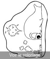 dessin baleine pour coloriage