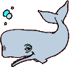 coloriage baleine