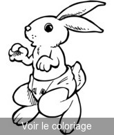 coloriage lapereau bébé lapin