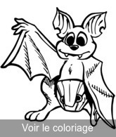 coloriage bébé chauve souris