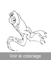 coloriage petite grenouille verte