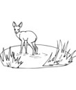 coloriage de biche gratuit a imprimer