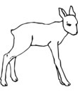 imprimer et colorier ce dessin  biche