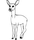 imprimer et colorier cette biche