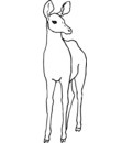 imprimer ce dessin gratuit de biche