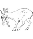 coloriage imprimer biche