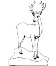 coloriage imprimer biche