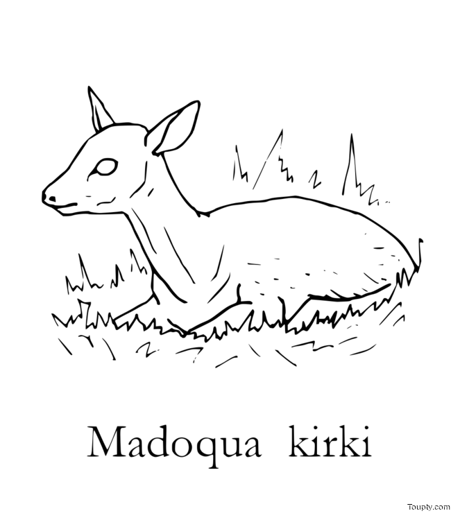 coloriage-biche Page 32