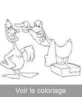 dispute de canard