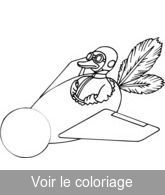 canard volant