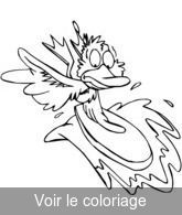 canard surf vague