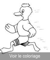 course de canard