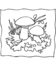 dessin 19 de champignon a imprimer