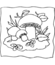 dessin 25 de champignon a imprimer