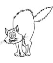 Chat Coloriage A Imprimer De Chats Toupty Com Chat Coloriage A Imprimer De Chats Toupty Com