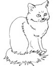 deuxième coloriage de chat