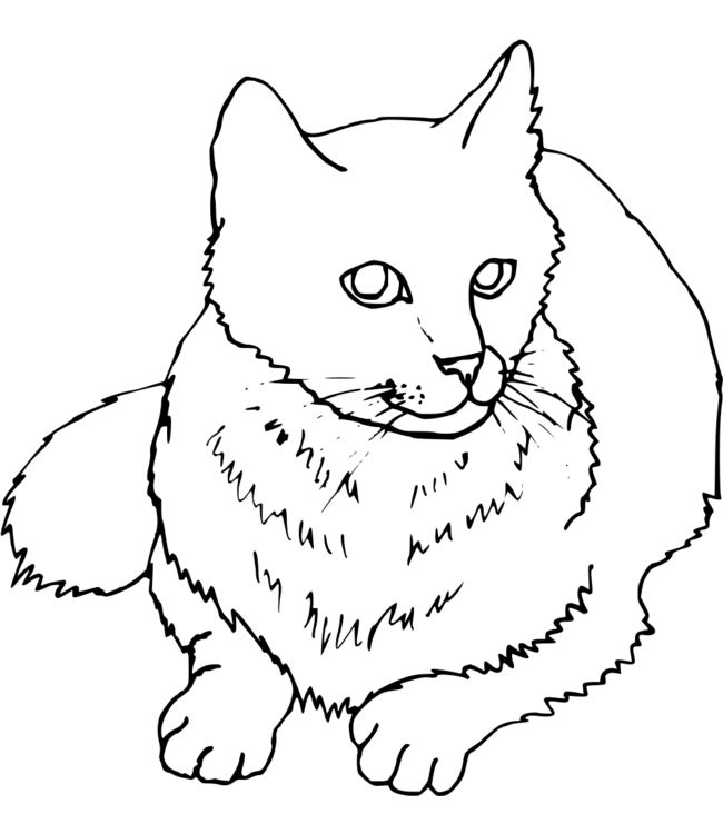 coloriage-chat Page 45