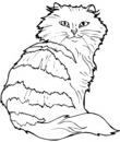 sixième coloriage de chat