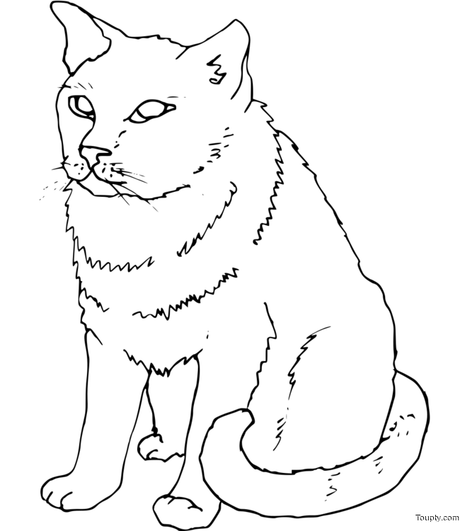 coloriage-chat Page 74