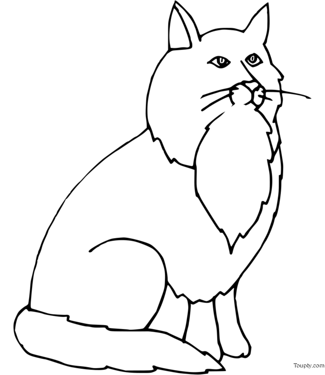 coloriage-chat Page 79