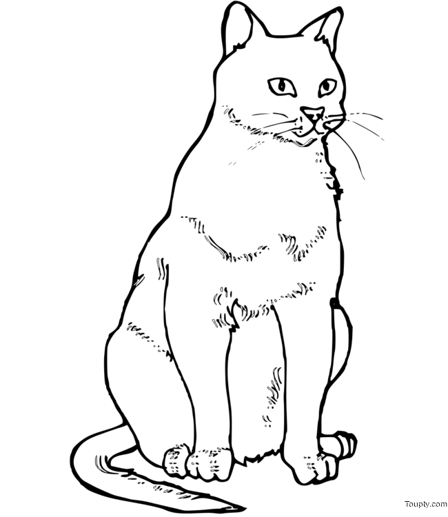 coloriage-chat Page 85