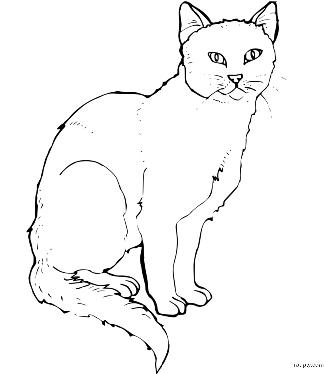 coloriage-chat Page 87