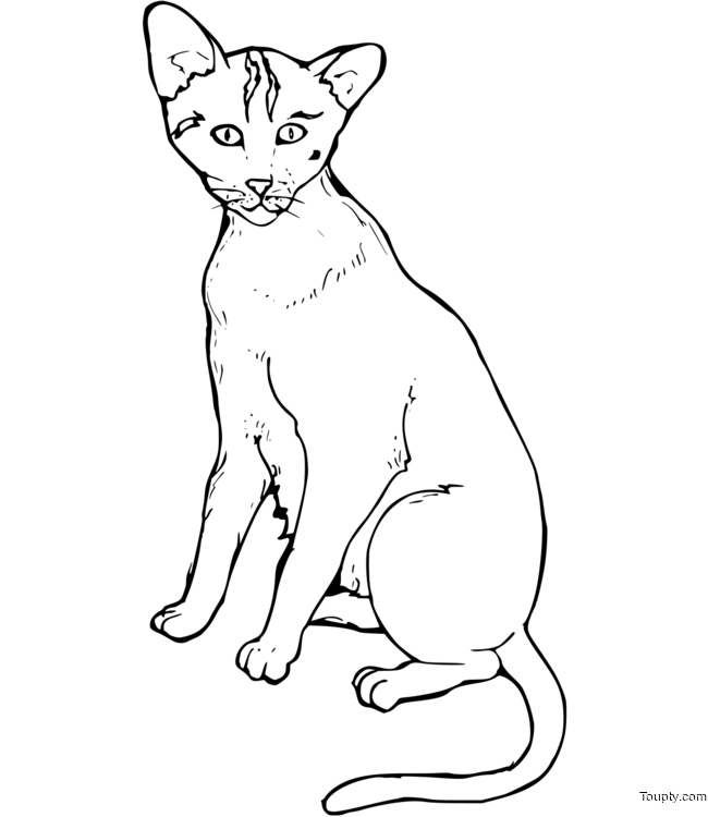 coloriage-chat Page 88