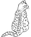 Chat Coloriage A Imprimer De Chats Toupty Com