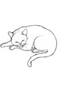 chat dort en boule