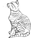 Coloriages De Chats Gratuits A Imprimer Toupty Com Coloriages De Chats Gratuits A Imprimer Toupty Com