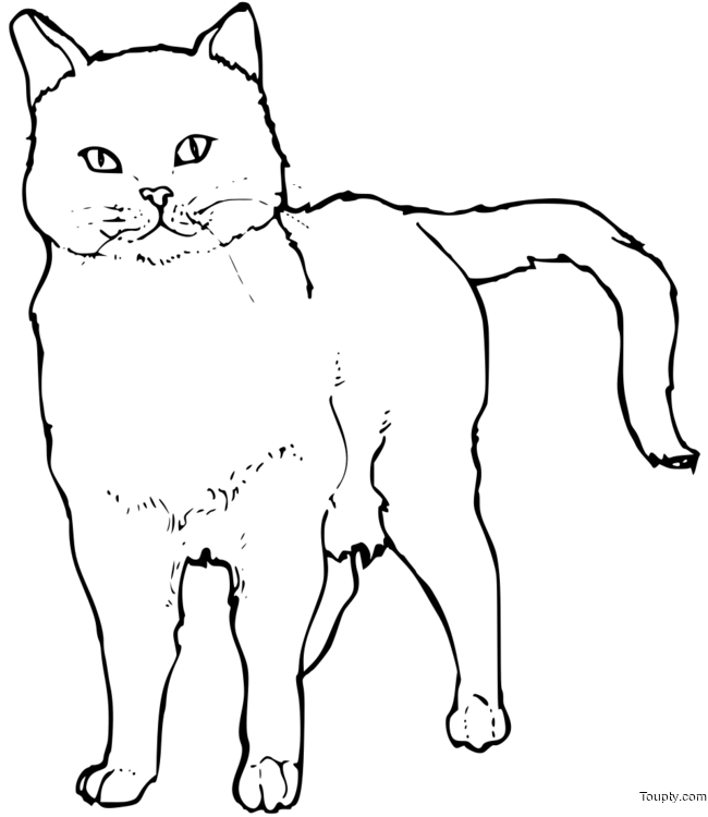 coloriage-chat Page 94
