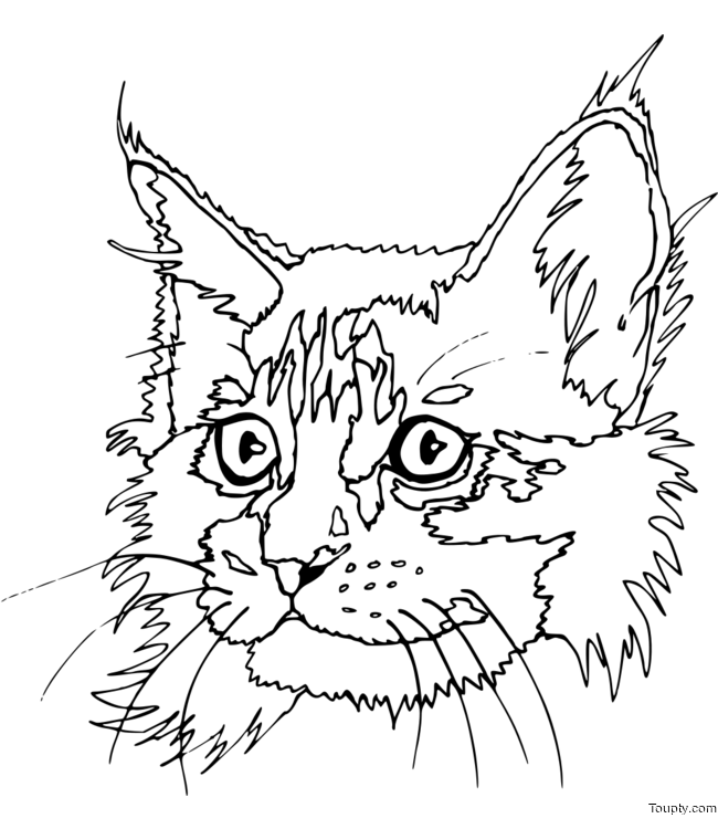 coloriage-chat Page 98