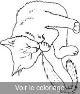 Coloriage chat se lèche la patte | Toupty.com