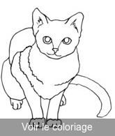 Coloriage chat brun beige | Toupty.com