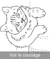 Coloriage chaton couché | Toupty.com