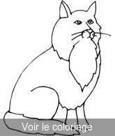 Coloriage beau chat noir et blanc | Toupty.com