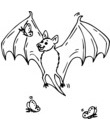 chauve-souris halloween