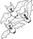 chauve-souris a imprimer