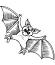 chauve-souris coloriage a imprimer